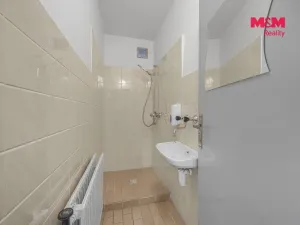 Prodej obchodního prostoru, Pardubice - Zelené Předměstí, Mikulovická, 330 m2