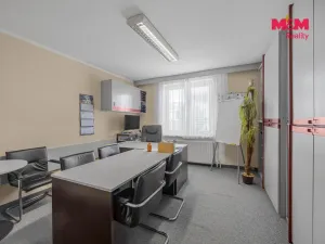 Prodej obchodního prostoru, Pardubice - Zelené Předměstí, Mikulovická, 330 m2