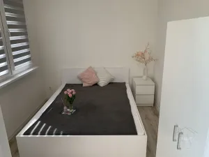 Pronájem bytu 2+kk, Mladá Boleslav - Mladá Boleslav II, Jana Palacha, 42 m2