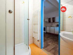 Pronájem bytu 1+1, Karlovy Vary, Jabloňová, 45 m2