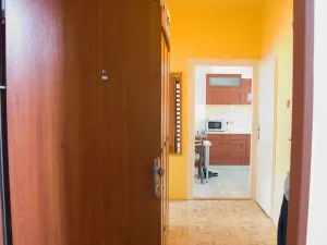Pronájem bytu 1+1, Olomouc, Masarykova třída, 44 m2