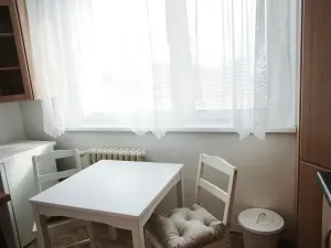 Pronájem bytu 1+1, Vyškov - Dědice, Sídliště Osvobození, 30 m2
