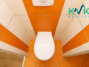 Pronájem bytu 3+kk, Ostrov, Kollárova, 59 m2