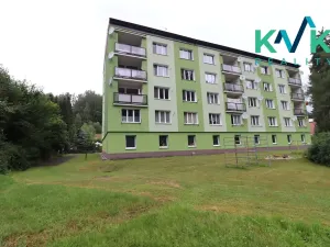 Prodej bytu 2+1, Kraslice, Wolkerova, 56 m2