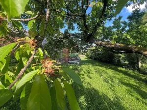 Prodej rodinného domu, Hořice, 80 m2