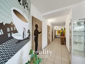 Prodej obchodního prostoru, Jihlava, Buková, 234 m2