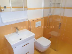 Pronájem bytu 1+kk, Šlapanice, Riegrova, 23 m2
