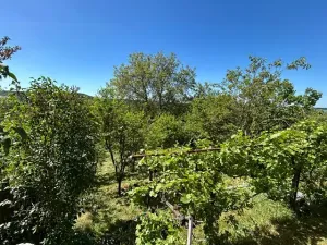 Prodej chaty, Nové Strašecí, Pecínovská, 40 m2