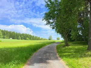 Prodej chaty, Borová, 53 m2
