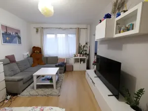 Pronájem bytu 1+1, Uherský Brod, Družstevní, 38 m2