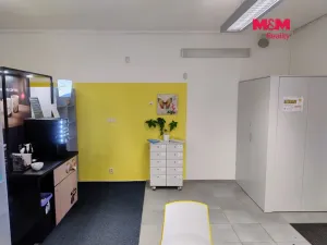 Pronájem obchodního prostoru, Hradec nad Moravicí, Opavská, 87 m2