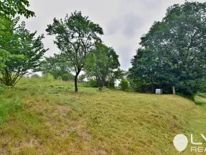 Prodej zahrady, Hamry nad Sázavou - Šlakhamry, 253 m2