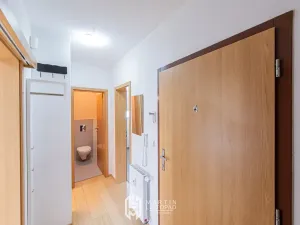 Pronájem bytu 2+kk, Olomouc, Rybniční, 60 m2