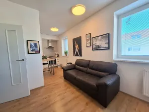 Pronájem bytu 1+kk, Brno, Přírodní, 35 m2