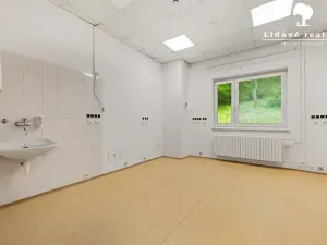 Prodej ordinace, Rožnov pod Radhoštěm, Lesní, 274 m2