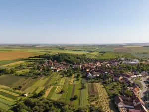 Prodej rodinného domu, Ořechov, Pavlíkova, 245 m2