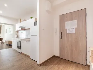 Prodej bytu 1+kk, Brno, Kotlářská, 41 m2