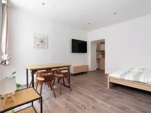 Prodej bytu 1+kk, Brno, Kotlářská, 41 m2
