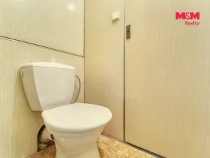 Prodej bytu 3+1, Horní Bříza, U Husa, 79 m2