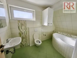 Pronájem rodinného domu, Plzeň, Mezi Ploty, 160 m2