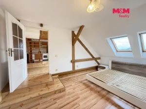 Pronájem bytu 3+kk, Hradec Králové - Pražské Předměstí, Albertova, 60 m2