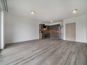 Pronájem bytu 2+kk, Plzeň, Srncová, 58 m2