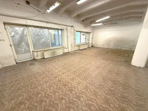 Pronájem skladu, Přerov, Čechova, 300 m2