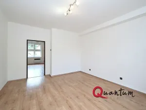 Pronájem bytu 1+1, Praha - Braník, Branická, 47 m2