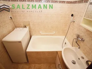 Pronájem bytu 2+1, Plzeň, náměstí Generála Píky, 48 m2