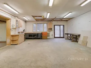 Prodej komerční nemovitosti, Horní Cerekev, 460 m2