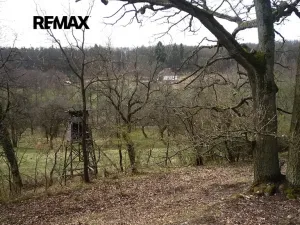 Prodej chaty, Plasy, 50 m2