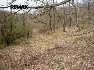 Prodej chaty, Plasy, 50 m2