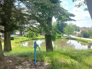 Pronájem rodinného domu, Pluhův Žďár, 160 m2