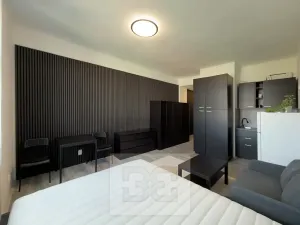 Pronájem bytu 1+kk, Praha - Vinohrady, náměstí Jiřího z Lobkovic, 25 m2