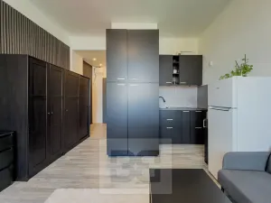 Pronájem bytu 1+kk, Praha - Vinohrady, náměstí Jiřího z Lobkovic, 25 m2