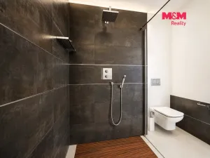 Prodej bytu 3+kk, Mladá Boleslav - Mladá Boleslav II, Boženy Němcové, 104 m2