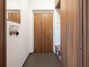 Pronájem bytu 3+kk, Brno, U Leskavy, 100 m2