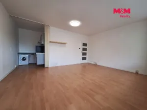 Pronájem bytu 1+kk, Chomutov, Březenecká, 30 m2