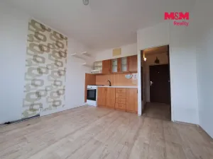 Pronájem bytu 1+1, Chomutov, 17. listopadu, 36 m2