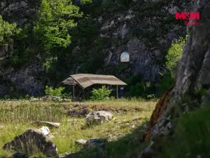 Prodej zahrady, Štramberk, 89052 m2