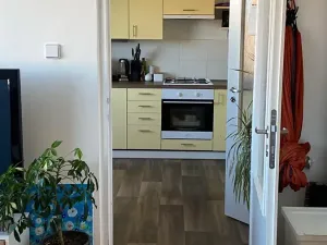 Prodej bytu 1+1, Teplice, Bratislavská, 41 m2