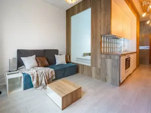 Prodej bytu 1+kk, Brno, Příkop, 31 m2