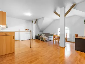 Prodej bytu 4+kk, Brno, Vranovská, 130 m2