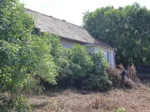 Prodej pozemku pro bydlení, Lešany, 2358 m2