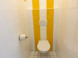 Pronájem bytu 6+kk a větší, Brno, Křížová, 235 m2