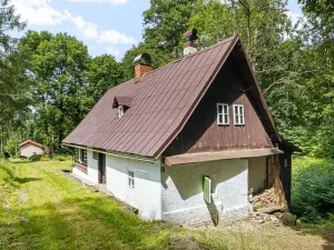 Prodej chalupy, Zlatá Olešnice, 112 m2