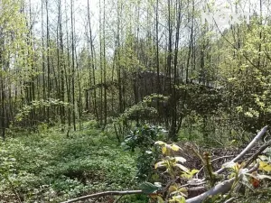 Prodej pozemku pro bydlení, Liberec, 1772 m2