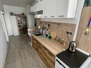 Pronájem bytu 3+1, Lovosice, Vodní, 65 m2