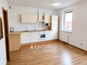 Pronájem bytu 1+kk, Brno, Podveská, 37 m2
