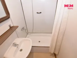 Prodej bytu 1+kk, Ústí nad Labem - Krásné Březno, Žežická, 32 m2